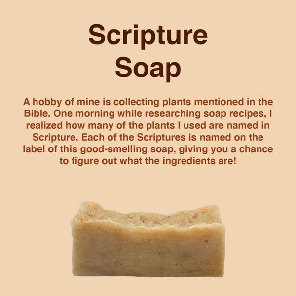 Scripture Soap