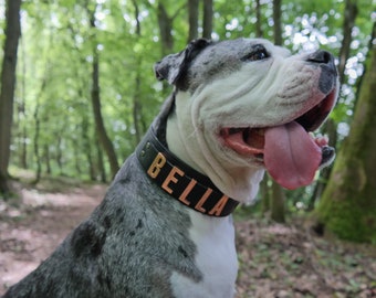 Collar with your dogs name