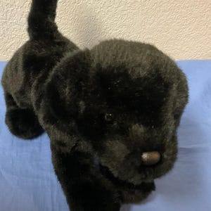 Puede incluir: Un juguete de peluche negro de un cachorro de Labrador con una nariz marrón y una cola erguida. El peluche está colocado sobre una superficie azul, mostrando su suave y texturizada piel. El juguete está diseñado para parecerse a un perro joven.