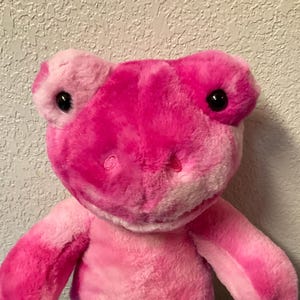 Build A Bear Workshop TOADally Tie-Dye Frosch BAB Kuscheltiere Plushies Geschenke für Mädchen Tochter Schwester Freund Mama Frau Her