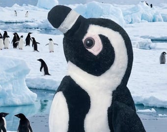 May include: A large plush penguin toy with black and white fur stands prominently in the foreground on a snowy surface, surrounded by a colony of live penguins in a vast, icy Antarctic landscape with glaciers and icebergs in the background.