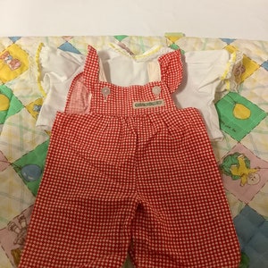 May include: Red and white gingham overall dress with a white short-sleeved shirt. The overall dress has a green label that says "Carefree Kids".