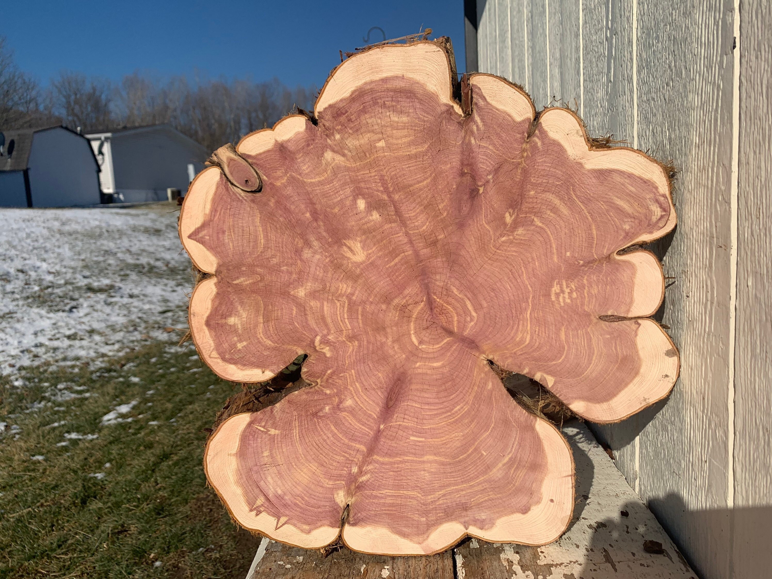 Wood Live edge eastern red cedar cookies/ wedding center pieces/ cedar ...