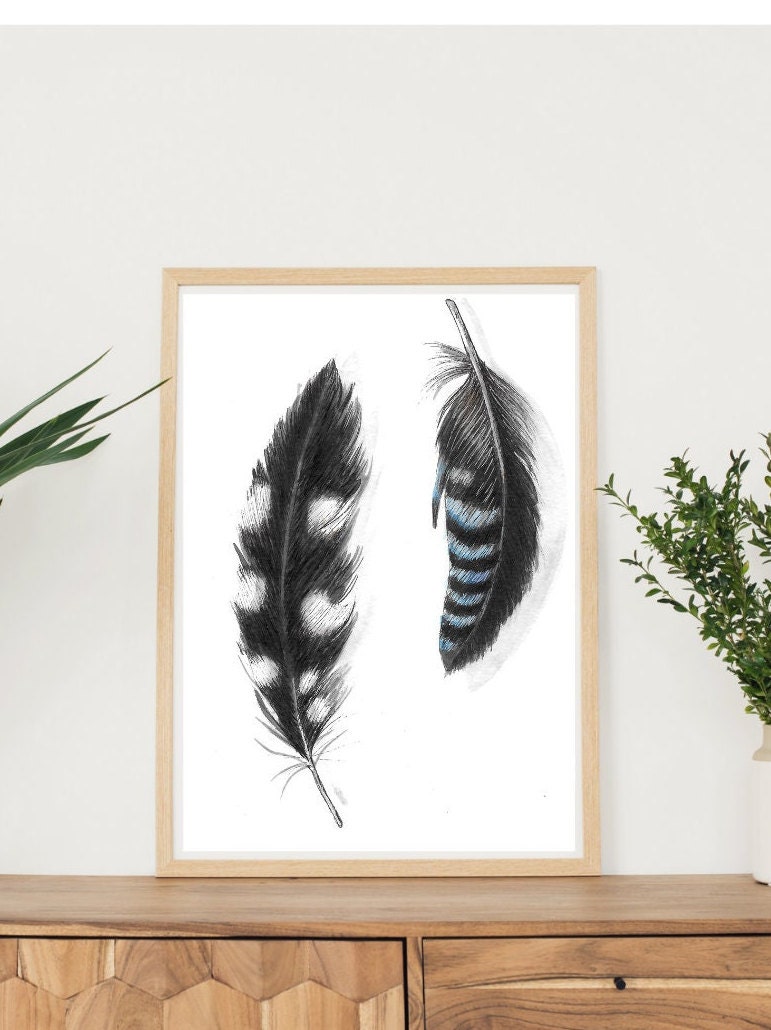 Veren Tekening Vogelveren Aquarel Veer Twee Veren Pentekening veren-tekening-vogelveren-aquarel-veer-twee-veren-pentekening