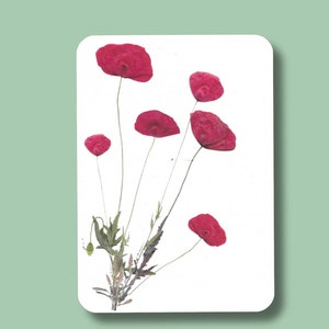 klaprozen kaartje, sympathiekaart, gedruckte blumenkaart, gedroogde blumen gedruckte klaprozen, mohnblumen, papaver