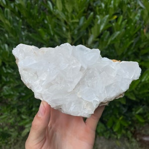 Washington State Uv Reactive Bladed Calcite Plate