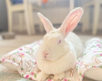 Bunny Beds