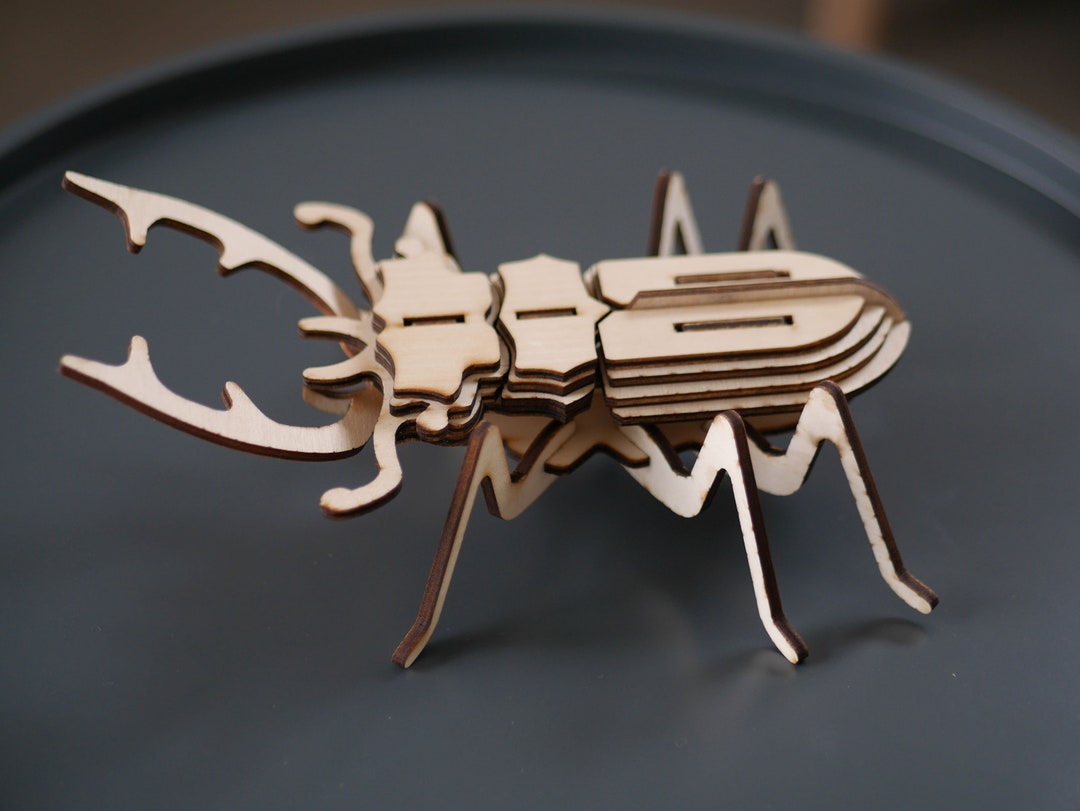 Decorative Wooden Insect - Etsy
