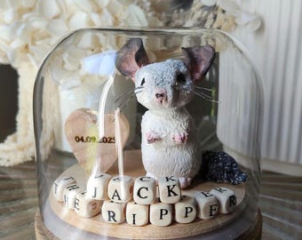 Personalised Pet Memorial Keepsake | Sympathy Gift for Loss of Pet | Memory Globe