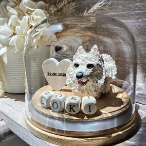 Pet Cat or Dog Custom Memorial Globe, In memory keepsake gift