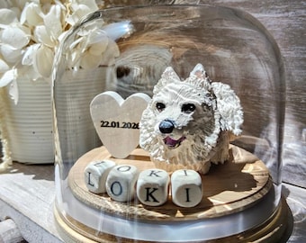 Custom Pet Memorial Gift | Personalized Pet Loss Keepsake | Sympathy Gift for Dog or Cat | In Memory | Rainbow Bridge