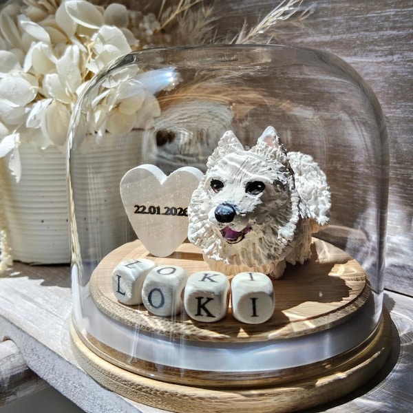 Benutzerdefinierte Haustier-Memorial-Geschenk | Personalisierte Haustier-Verlust-Andenken | Beileid Geschenk für Hund oder Katze | In Erinnerung | Regenbogen-Brücke