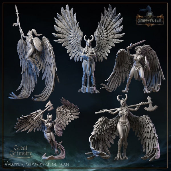 Valkyrie Miniatur / 5 Opzioni / Skahylde / Renhildr / Skegrun / Sveirvif / Guordmadra / 35mm / Wikinger / DnD / Pathfinder / Grande Grimorio