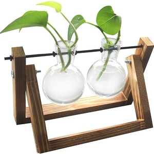 Hydroponic Bulb Vases Plant Terrarium Bulbs Minimalist Vintage Industrial Design Water Planting Tubes Desktop Xmas Gifts UK 2 Piece V2 (Wood)