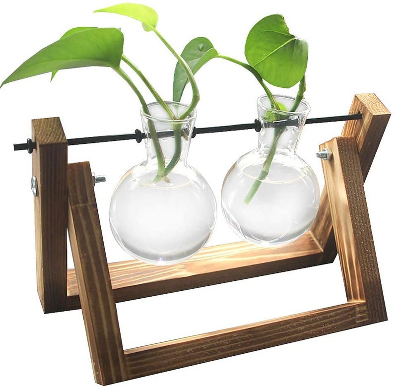 Hydroponic Bulb Vases Plant Terrarium Bulbs Minimalist Vintage Industrial Design Water Planting Tubes Desktop Xmas Gifts UK 2 Piece V2 (Wood)