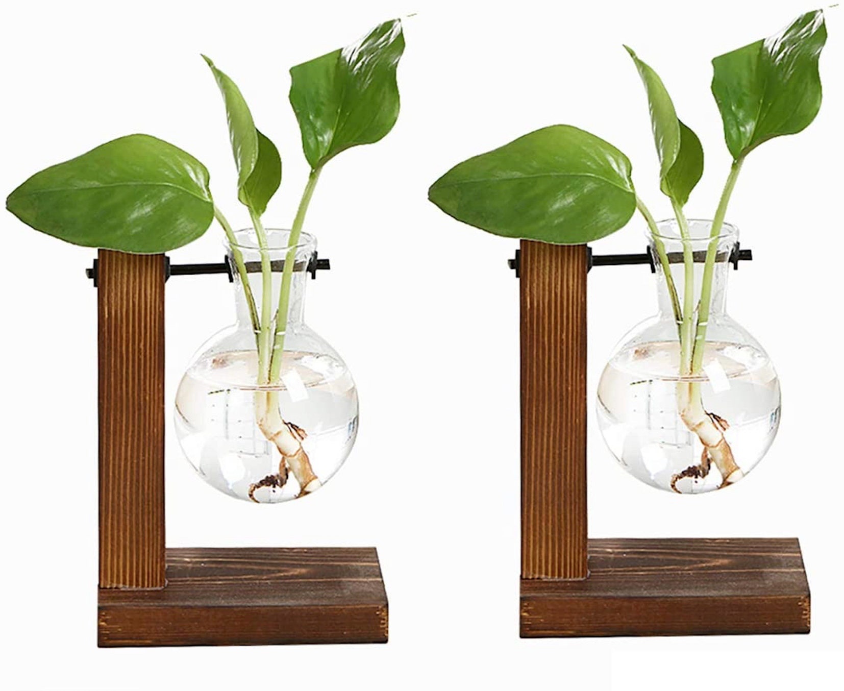 Hydroponic Bulb Vases Minimalist Vintage Industrial Design Etsy UK