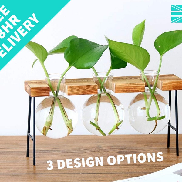 Hydroponic Bulb Vases | Plant Terrarium Bulbs | Minimalist Vintage Industrial Design | Water Planting Tubes | Desktop | Xmas Gifts | UK