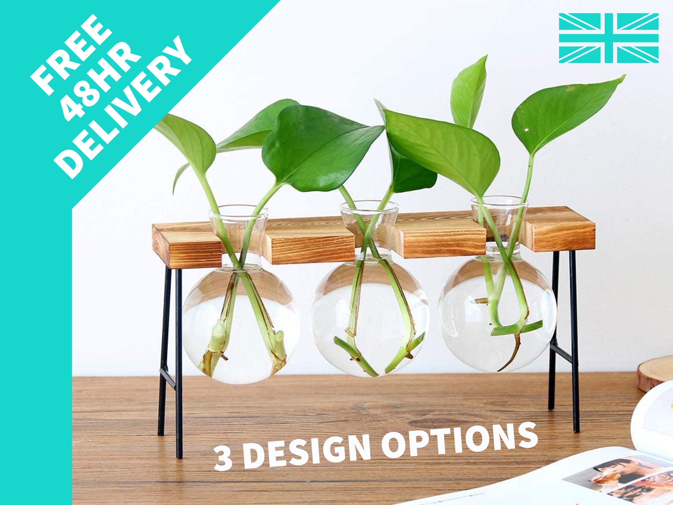 13+ Vase Water Plants