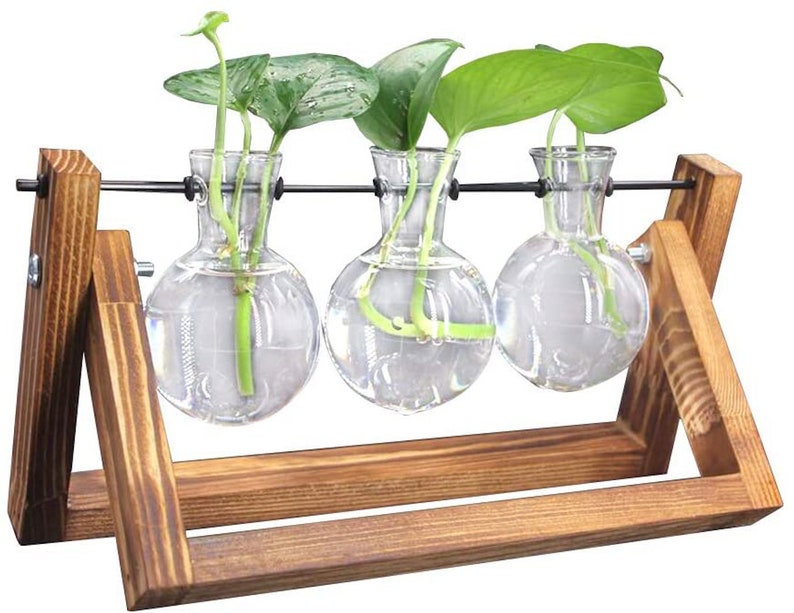 Hydroponic Bulb Vases Plant Terrarium Bulbs Minimalist Vintage Industrial Design Water Planting Tubes Desktop Xmas Gifts UK 3 Piece V2 (Wood)