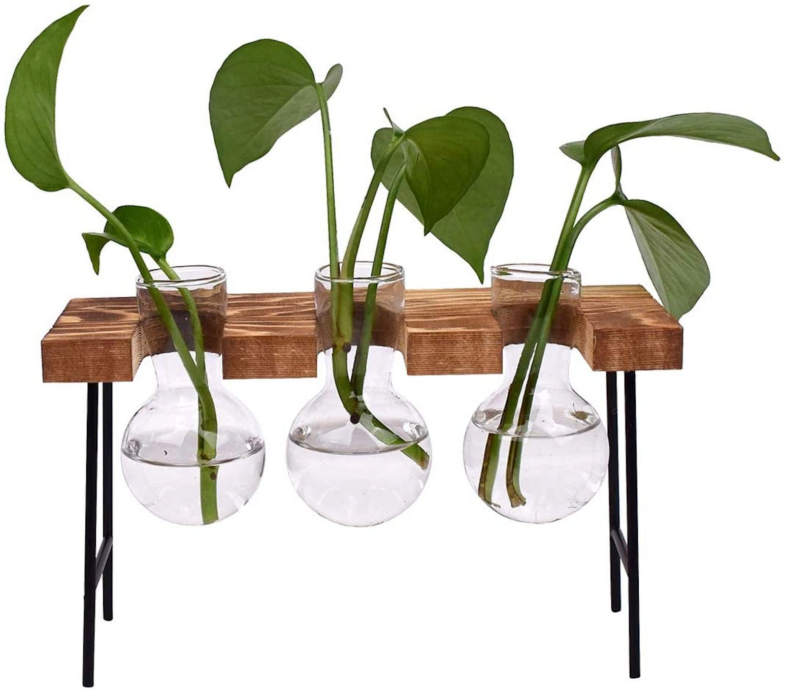 Hydroponic Bulb Vases Minimalist Vintage Industrial Design Etsy UK