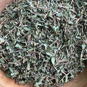 Jamaican MEDINA dried herb Wildcrafted Clean Herb | Grows Naturally in Clarendon Jamaica | Herbicide  Pesticide Free CLEAN HERB