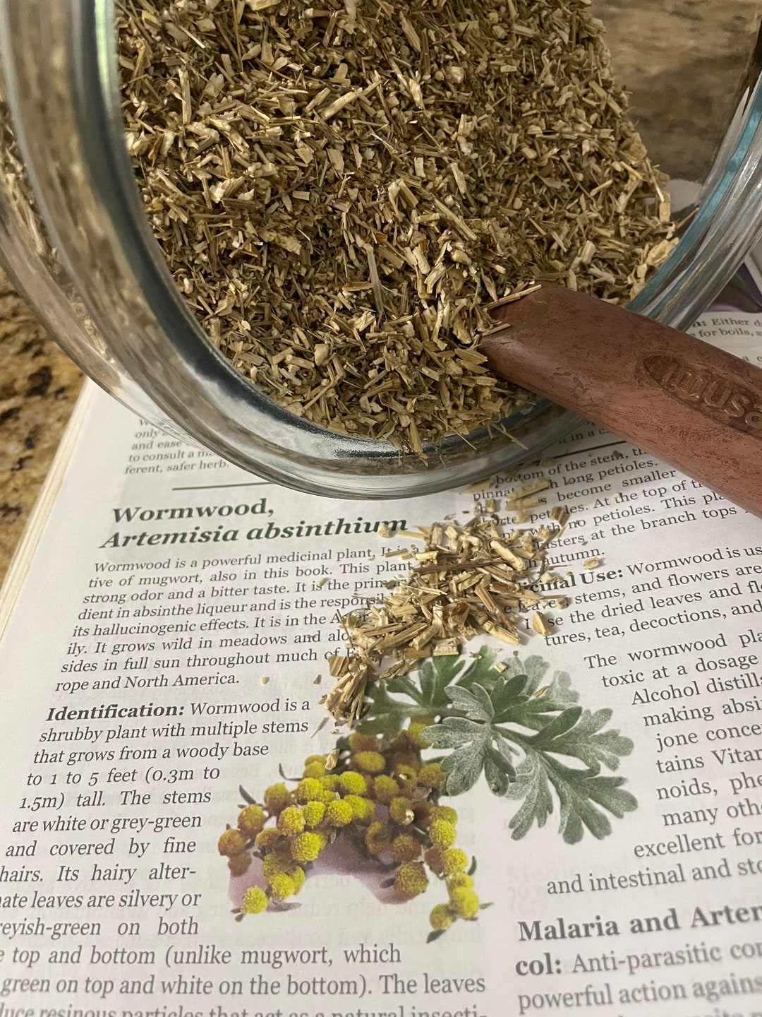 100g Organic Dried Wormwood Herb - Aphrodisiac, Loose Leaf - Foto 7