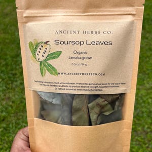 Dried Organic Jamaican Soursop leaves | Graviola Guanabana | Jamaica Grown 1 oz | 0.5 oz