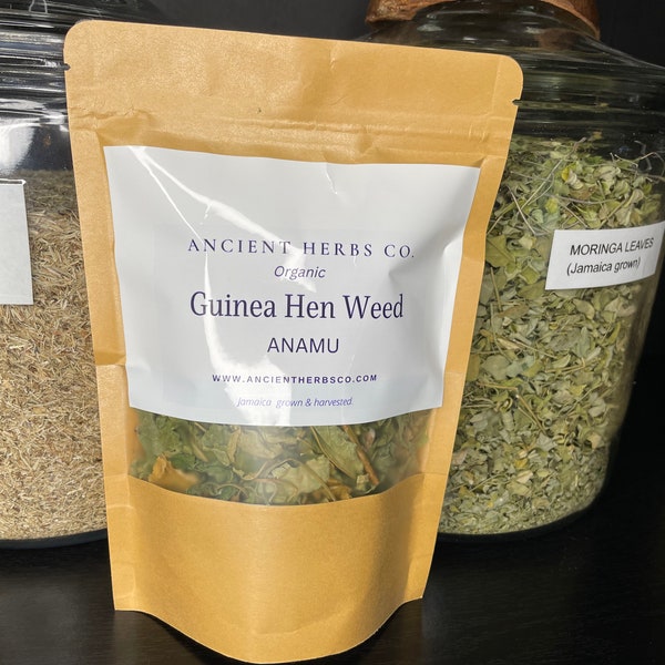 ANAMU Guinea Hen Weed - Jamaica Grown Wildcrafted NO CHEMICALS | No herbicides | No pesticides