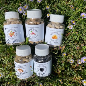 K&ouml;nnte beinhalten: F&uuml;nf transparente Plastikflaschen mit wei&szlig;en Deckeln, gef&uuml;llt mit Kapseln, beschriftet mit "Ancient Herbs Co." und verschiedenen Kr&auml;uterzutaten. Die Flaschen sind auf einem Bett aus gr&uuml;nem Gras und kleinen lila und gelben Blumen angeordnet.