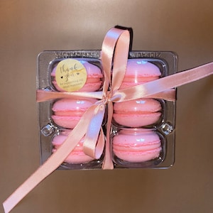 Pink Strawberry French Macaron