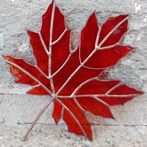 May include: A red stained glass maple leaf with a copper wire frame. The leaf is hanging on a gray concrete wall.