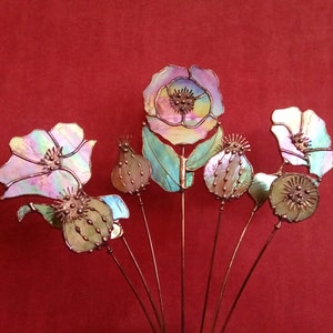 K&ouml;nnte beinhalten: Eine Sammlung von irisierenden Glasblumenskulpturen mit Kupferstielen. Die Blumen umfassen Mohnblumen und Samenkapseln, mit einer Farbpalette von Rosa, Gr&uuml;n und Gelb. Der Hintergrund ist einfarbig rot.