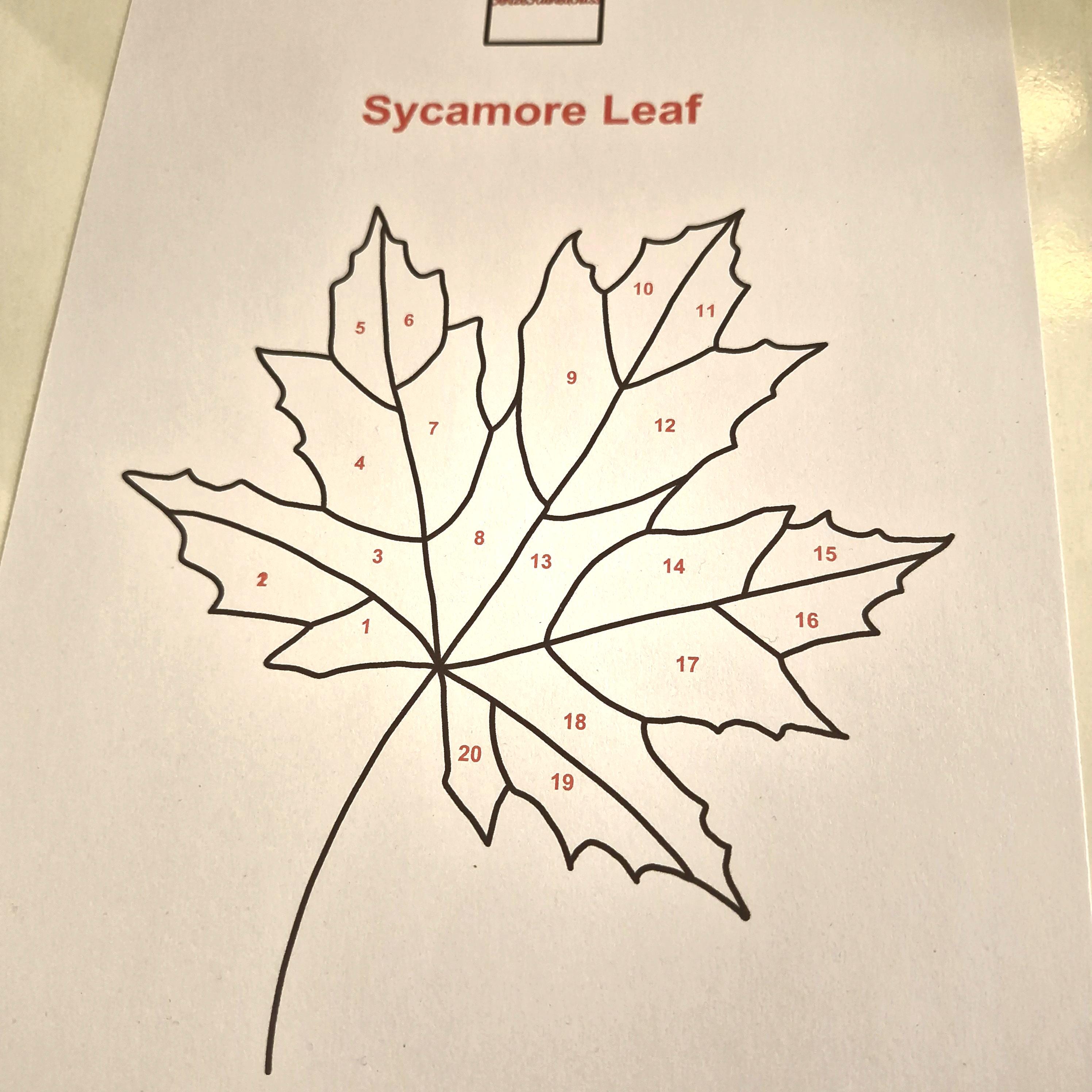 Stained Glass Sycamore Leaf Suncatcher Pattern: DIY Template (PDF ...