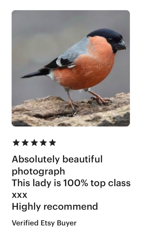 Ібіліс порно ол Алдын ала ойнау бар секс фильм