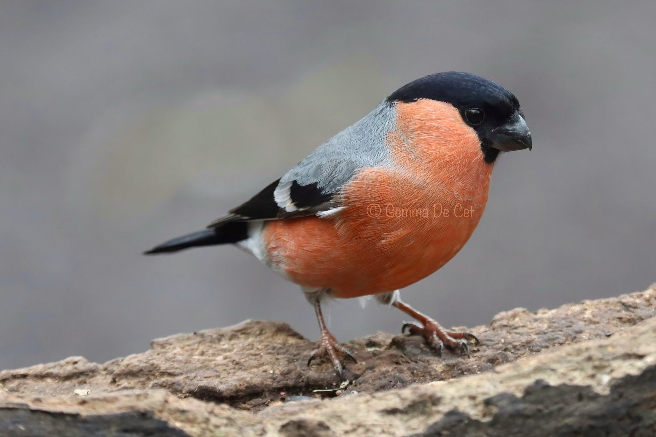 Секс видео Кривой Рог Онлайн порно бұзылып жатыр