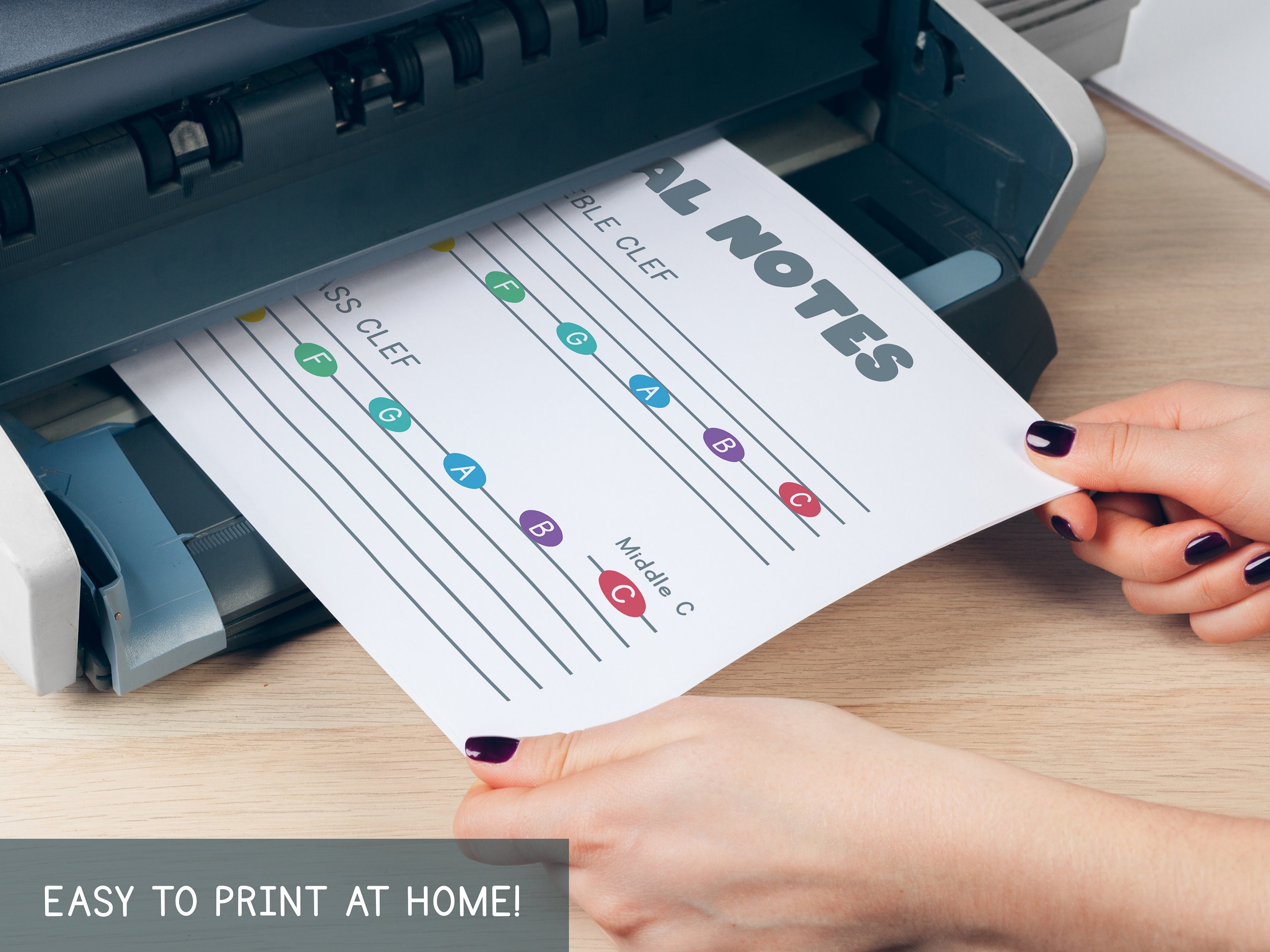 Music Notes on Staff Super Simple Chart PDF, Musical Notes on Treble ...