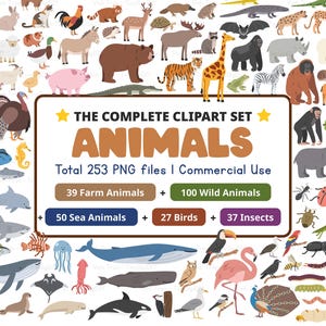 Ensemble de clipart animaux de dessin animé, 253 animaux mignons PNG, fond transparent, faune, animaux de compagnie, créatures de zoo, usage commercial, téléchargement immédiat