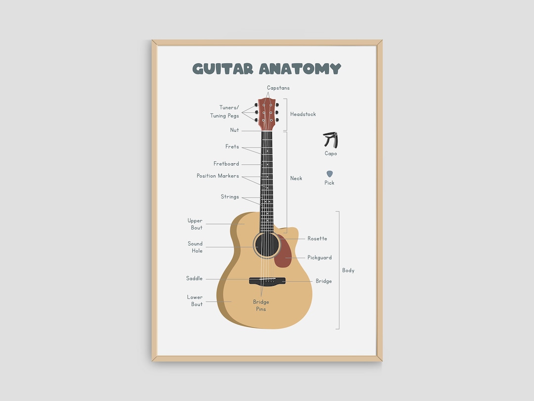 Guitar Anatomy Simple Chart PDF, Guitar Theory Poster for Beginners ...