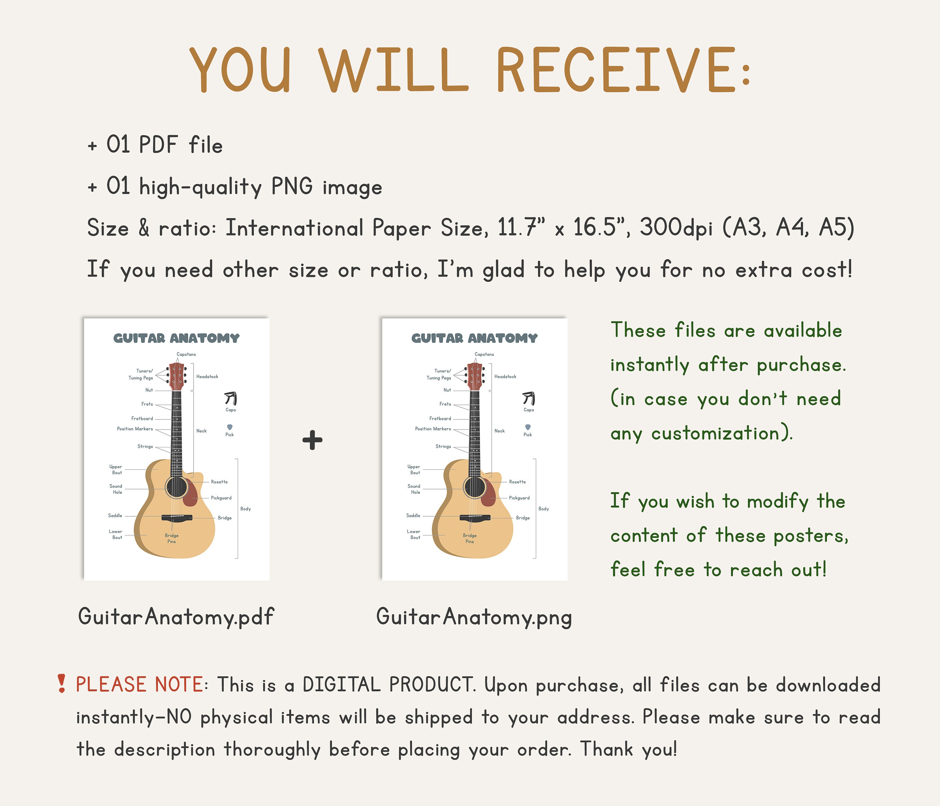 Guitar Anatomy Simple Chart PDF, Guitar Theory Poster for Beginners ...