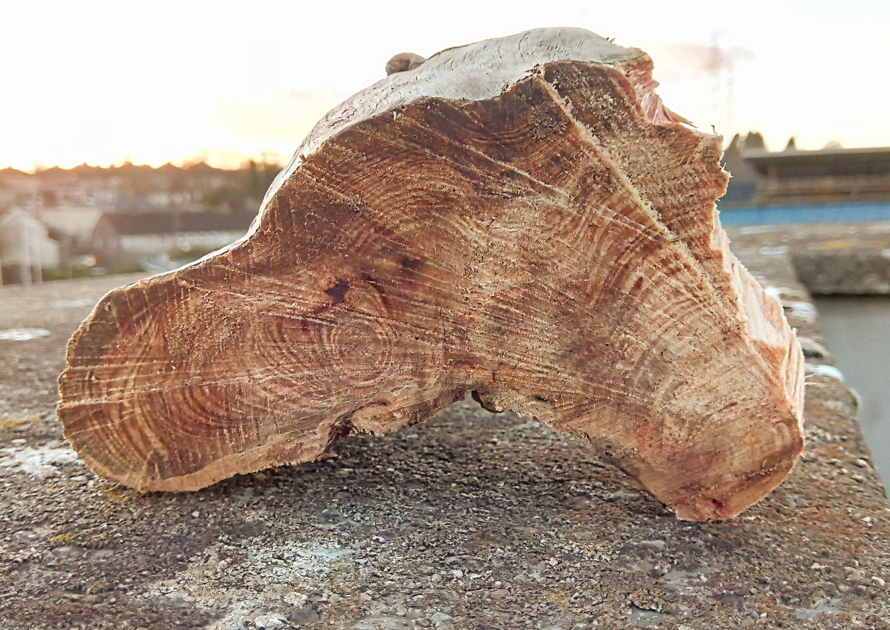 Fat Lighter Wood Etsy