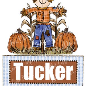 Boy fall Scarecrow pumpkin Sublimation DTF Design PNG Digital Download | HandDrawn Printable Art | gingham | fall | name plate |thanksgiving
