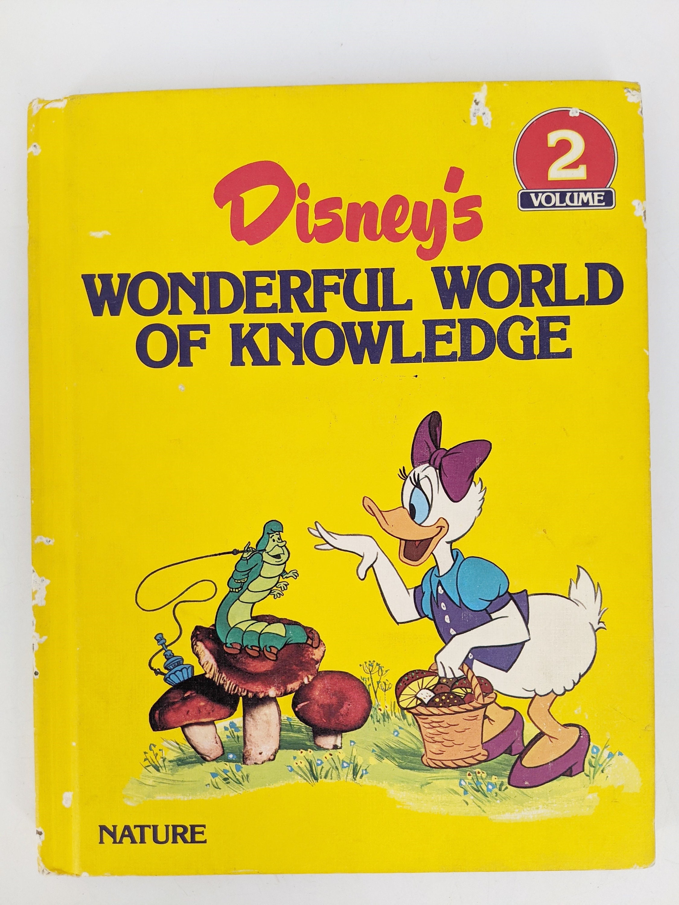 Classiques Animaux, 80 GOMMETTES - Walt Disney company - Librairie Madison