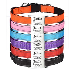 May include: Six colorful dog collars with silver metal tags that have the name "Justin", an address, and a phone number.