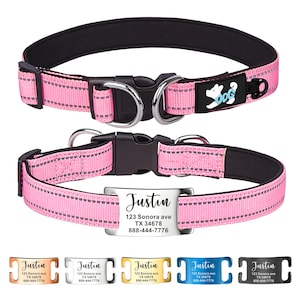 Embroidered No Noise Dog Collar Etsy