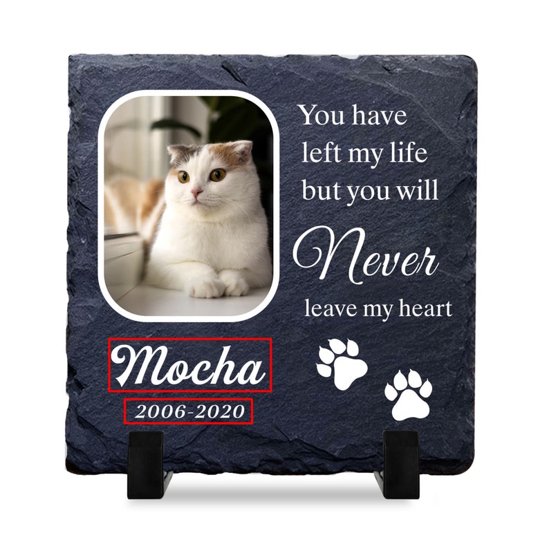 Puede incluir: Una placa conmemorativa de pizarra negra con una foto de un gato blanco y naranja. La placa tiene el texto "You have left my life but you will Never leave my heart" y el nombre "Mocha" con las fechas "2006-2020".
