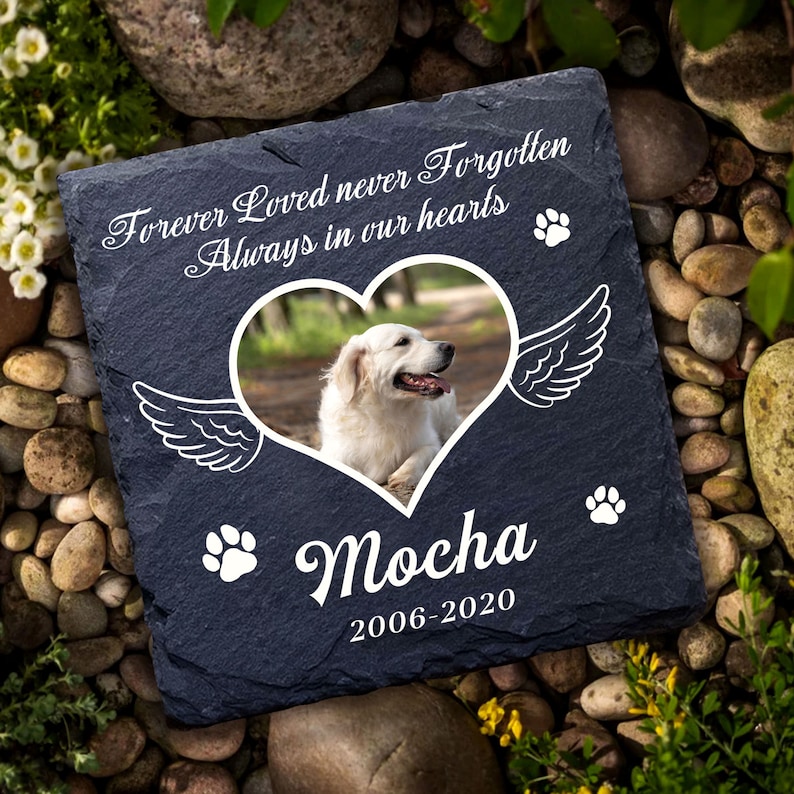Puede incluir: Una piedra conmemorativa de pizarra azul oscuro con un marco de foto en forma de coraz&oacute;n blanco, huellas de patas blancas y alas de &aacute;ngel blancas. El marco de la foto contiene una imagen de un perro blanco. El texto "Forever Loved never Forgotten Always in our hearts" est&aacute; escrito en letras blancas en cursiva. El nombre "Mocha" est&aacute; escrito en letras blancas en cursiva debajo del marco de la foto. Las fechas "2006-2020" est&aacute;n escritas en letras blancas debajo del nombre.