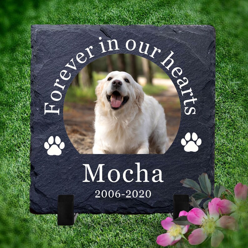 Puede incluir: Una piedra conmemorativa de pizarra negra con una foto de un perro blanco. La piedra tiene el texto "Forever in our hearts" en un c&iacute;rculo alrededor de la foto. El nombre del perro, "Mocha", y las fechas "2006-2020" tambi&eacute;n est&aacute;n en la piedra.