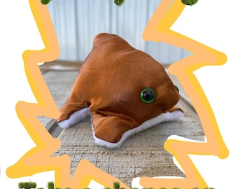 Rana misteriosa
