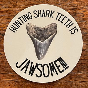 Dientes de tiburón de caza es un adhesivo Jawsome, Adhesivo de diente de tiburón, Megalodón, Adhesivo de tiburón impermeable, Adhesivo de fósil, Adhesivo de diente de tiburón para coche