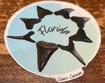 Círculo de fóssil de dente de tubarão da Flórida em adesivo de redemoinho azul | Decalque à prova d&#39;água fóssil | Decalque de tubarão branco | Decalque de dente de tubarão tigre e touro